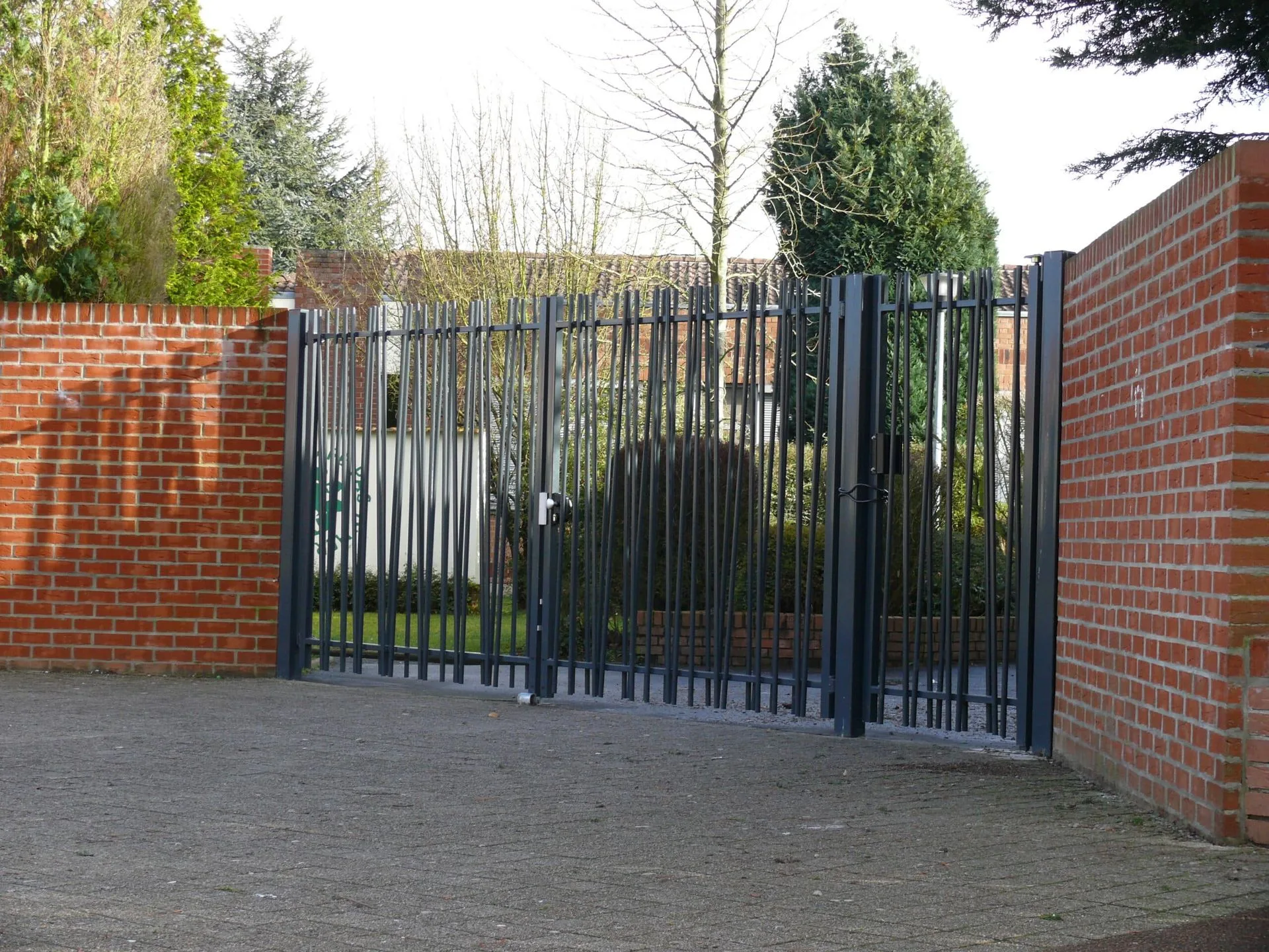 Roseau - Photo 3